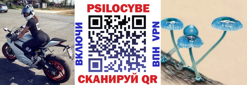 Галлюциногенные грибы Cubensis  МЕГА как войти  Фатеж  что такое  